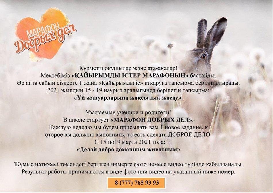 МАРАФОН ДОБРЫХ ДЕЛ