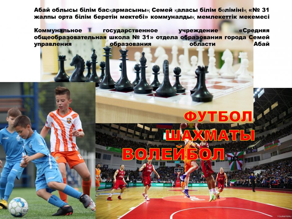 Спортивные секции
